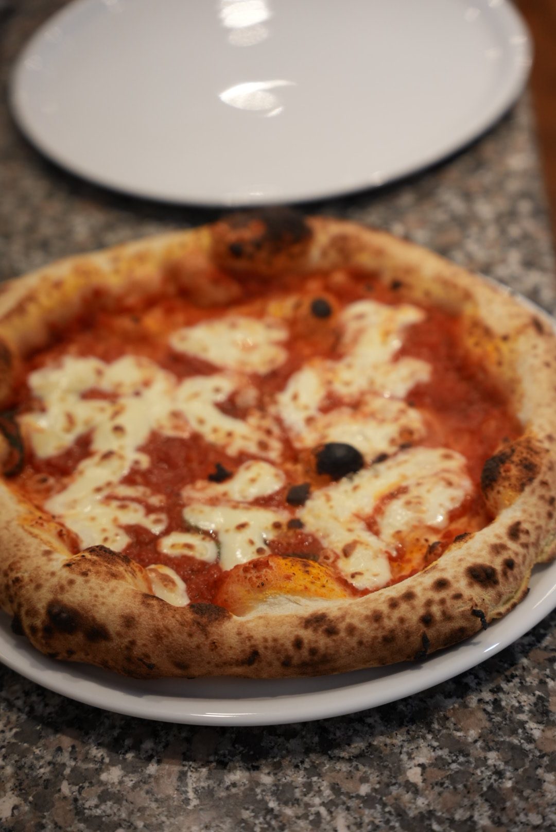 Pizza margherita napolitaine contemporaine, pâte biga maturée 48h aux bords boursouflés, cuite au four napolitain